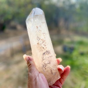 May include: A clear quartz crystal point with natural inclusions. The crystal is held in a hand, showcasing its elongated shape and faceted tip. The background is blurred, with green foliage.