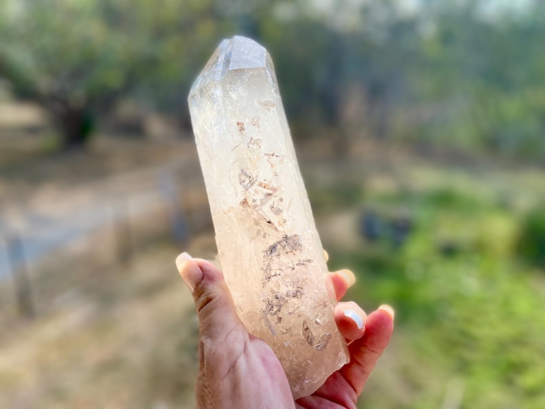 May include: A clear quartz crystal point with natural inclusions. The crystal is held in a hand, showcasing its elongated shape and faceted tip. The background is blurred, with green foliage.