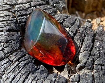 May include: A polished, translucent amber gemstone displaying a gradient of deep red and orange hues transitioning into a dark, reflective blue-green tint on its smooth, faceted surface, showcasing natural internal clarity and light refraction.