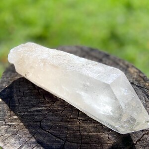 May include: A clear quartz crystal point, resting on a weathered wooden surface. The crystal is translucent with a textured surface and a sharply defined point. The background is blurred green foliage, suggesting an outdoor setting.