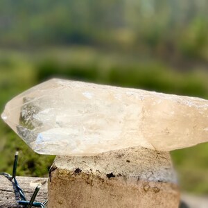 May include: A clear quartz crystal with a pointed tip and a rough, textured surface. The crystal is resting on a weathered wooden post, with a blurred green background. The crystal is a light, translucent color.