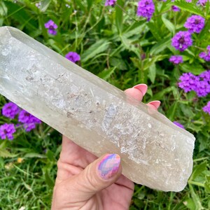 May include: A large, clear quartz crystal with a pointed tip is held in a hand. The crystal is a pale, translucent color with internal inclusions. The background features green foliage and vibrant purple flowers.