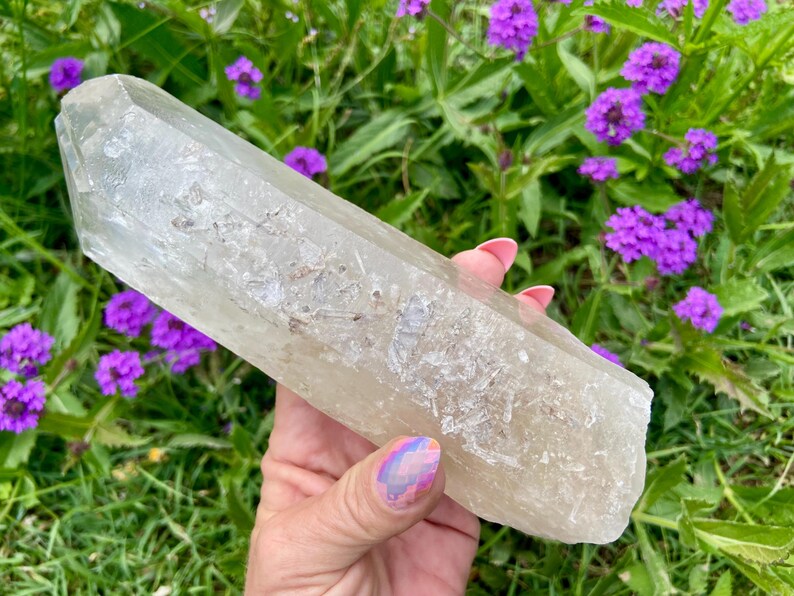 May include: A large, clear quartz crystal with a pointed tip is held in a hand. The crystal is a pale, translucent color with internal inclusions. The background features green foliage and vibrant purple flowers.