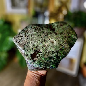 Massive Gemmy Andamooka Hard Matrix Opal | Collector’s Specimen | 6085 Carats | Polished Australian Opal