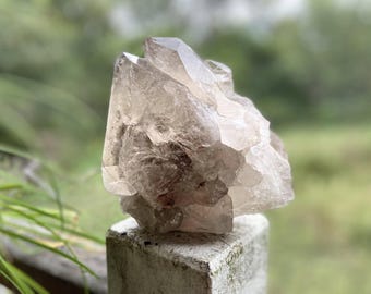 Rauchquarz Citrin Lemurian Seed Quartz Anhänger mit Phantom Delfin Schnuppe