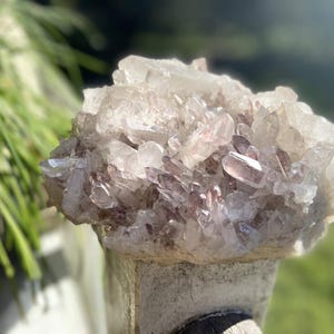 Sacred Rose Lithium Lemurian Quartz Cluster - Colombia Origin