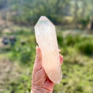 May include: A large, clear quartz crystal with a pointed tip is held in a hand. The crystal has a pale pink hue and a textured surface. The background is blurred, showing green foliage.