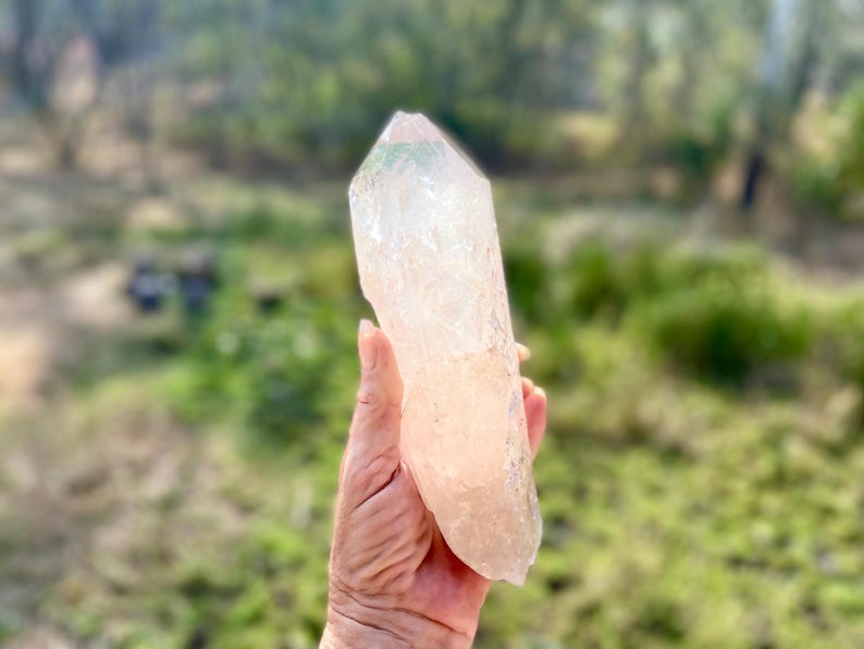May include: A large, clear quartz crystal with a pointed tip is held in a hand. The crystal has a pale pink hue and a textured surface. The background is blurred, showing green foliage.