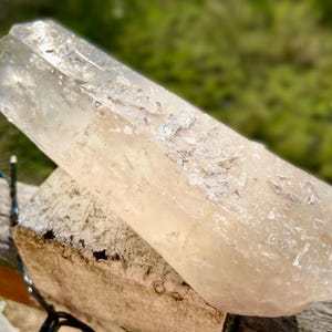 May include: A large, clear quartz crystal with a slightly milky appearance. The crystal is elongated and rests on a rough, light-colored stone. The background is blurred, with green foliage visible.