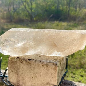 May include: A large, clear quartz crystal with a light tan hue, resting on a weathered, light-colored block. The crystal is faceted with a pointed end and a rough, natural texture. The background features green foliage and a blurred natural setting.