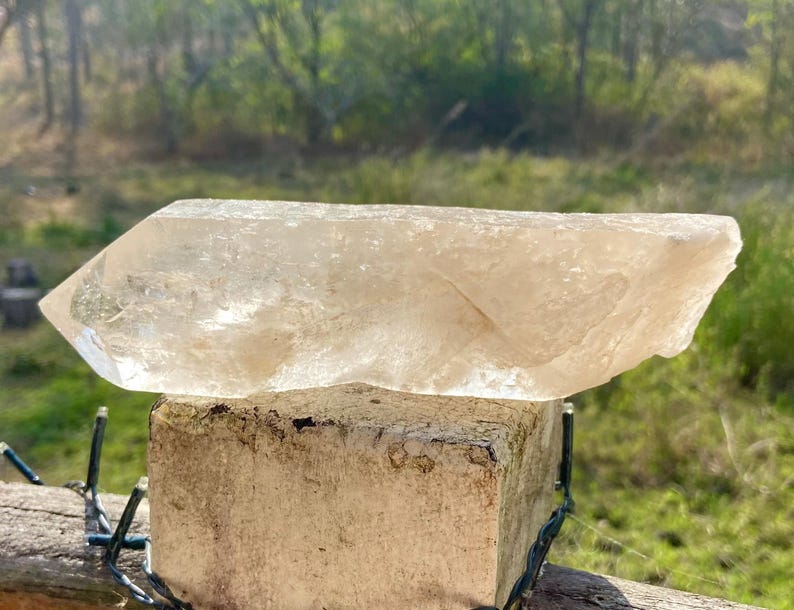 May include: A large, clear quartz crystal with a light tan hue, resting on a weathered, light-colored block. The crystal is faceted with a pointed end and a rough, natural texture. The background features green foliage and a blurred natural setting.