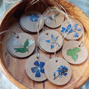 Botanisch geperste cadeaukaartjes - verpakking van 5