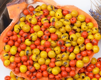 Citrus Mix: Yellow and Orange, Real Acai Beads from South America, 8-10mm / Pick your qty / Eco-Friendly, Natural Seeds, DIY Jewelry Supply