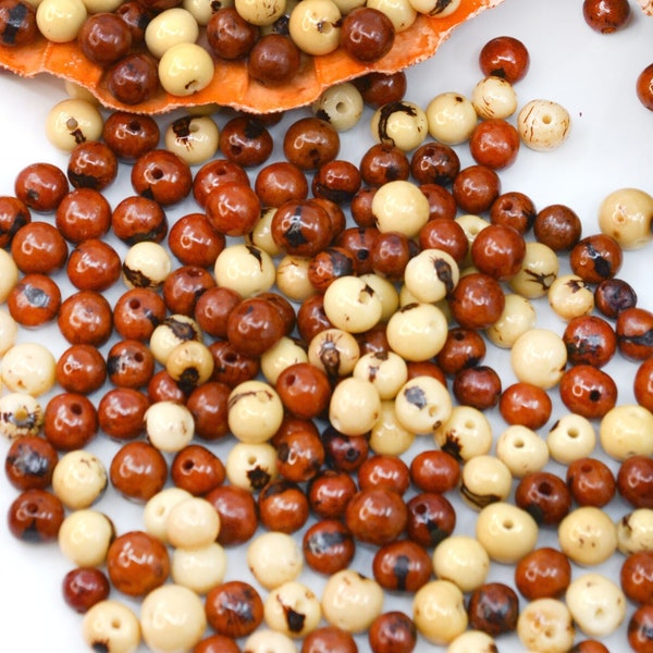 Caramel Cream: Real Acai Beads from South America, 100 beads, 8-10mm / Eco-Friendly Beads, Natural Seeds, DIY Jewelry Making Supplies