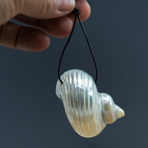 May include: A white seashell pendant with iridescent coloring hangs from a black cord.