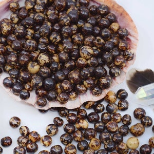 Natural Dark Brown Polished: Real Acai Beads from South America, 6-10mm | Pick Your Quantity | Eco-Friendly, Natural Seeds, DIY Jewelry