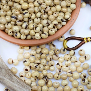 Natural Cream: Real Acai Beads from South America, 6-10mm | Pick Your Quantity | Eco-Friendly Beads, Natural Seeds, DIY Jewelry Supplies