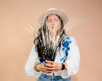 Extra Long Porcupine Quills 16-18 inch, 5 pieces, Curved Natural Quills for Decor, Art, Hat Design, Statement Craft Supply