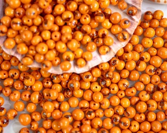 Citrus Orange: Real Acai Beads from South America, 8-10mm, Pick your qty, Eco-Friendly Beads, Natural Seeds, DIY Jewelry Making Supplies