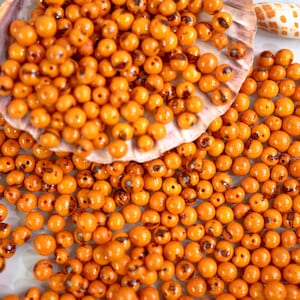 Citrus Orange: Real Acai Beads from South America, 6-10mm | Pick your Quantity | Eco-Friendly Beads, Natural Seeds, DIY Jewelry Supplies