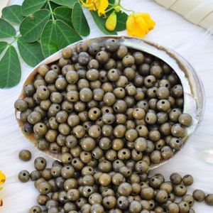 Deep Olive Green: Real Acai Beads from South America, 8-10mm / Pick your qty / Eco-Friendly Beads, Natural Seeds, DIY Jewelry Making Supply