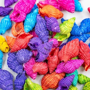 May include: A collection of colorful seashells painted in various shades of pink, blue, green, orange, purple, and yellow. The shells are arranged in a pile on a white surface.