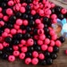 see more listings in the Acai Beads • Seeds section