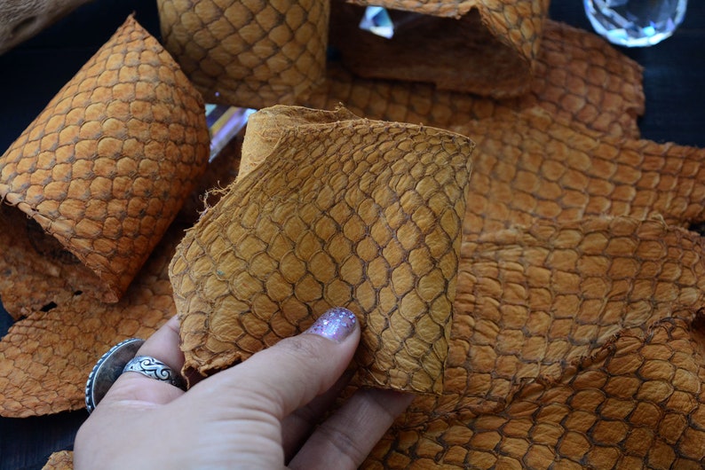 Rust Brown Tilapia Fish Leather Skin Suede Finish 1 Piece / Etsy