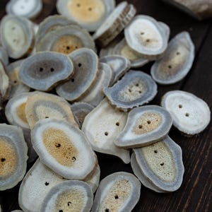 Rustic Natural Deer Antler Button – 1 button, 1-3 plus inches | One-of-a-Kind Antler Button, Naturally Shed Antler Toggle, Natural Buttons for Knitting