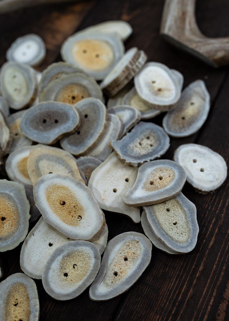 Rustic Natural Deer Antler Button – 1 button, 1-3 plus inches | One-of-a-Kind Antler Button, Naturally Shed Antler Toggle, Natural Buttons for Knitting