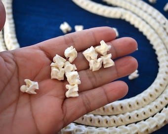 Real White Snake Vertebrae, Natural Bone Beads, 10 loose beads, 7-12mm, Tribal, Bohemian, Juju, Oddities, Jewelry Supplies