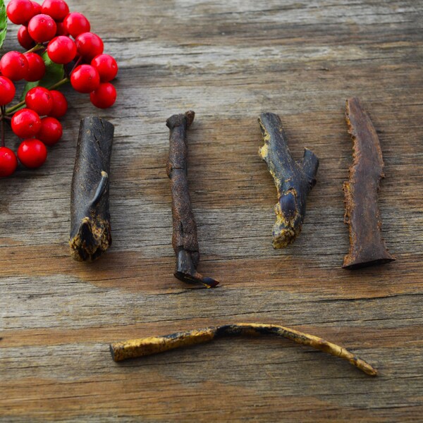 Vintage Black Coral: 100% Natural, Not dyed, Not processed Coral from the Coast of South America / Designer Rough BLACK CORAL / BCS2