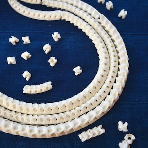 The Brianna Long Necklace: Long Snake Vertebrae Necklace in White, Real Snake Vertebrae, 7-12mm, 35 plus, 90-100 beads, Tribal Jewelry image 4