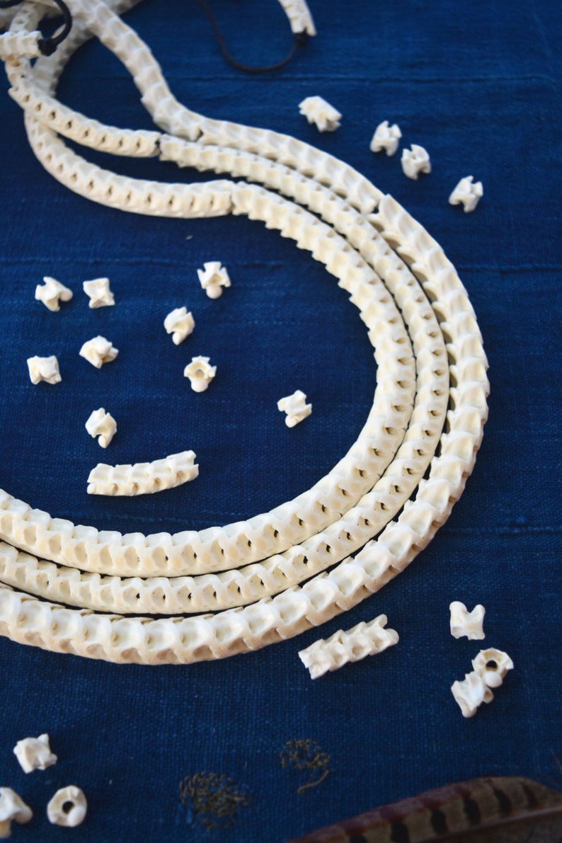 The Brianna Long Necklace: Long Snake Vertebrae Necklace in White, Real Snake Vertebrae, 7-12mm, 35 plus, 90-100 beads, Tribal Jewelry image 4