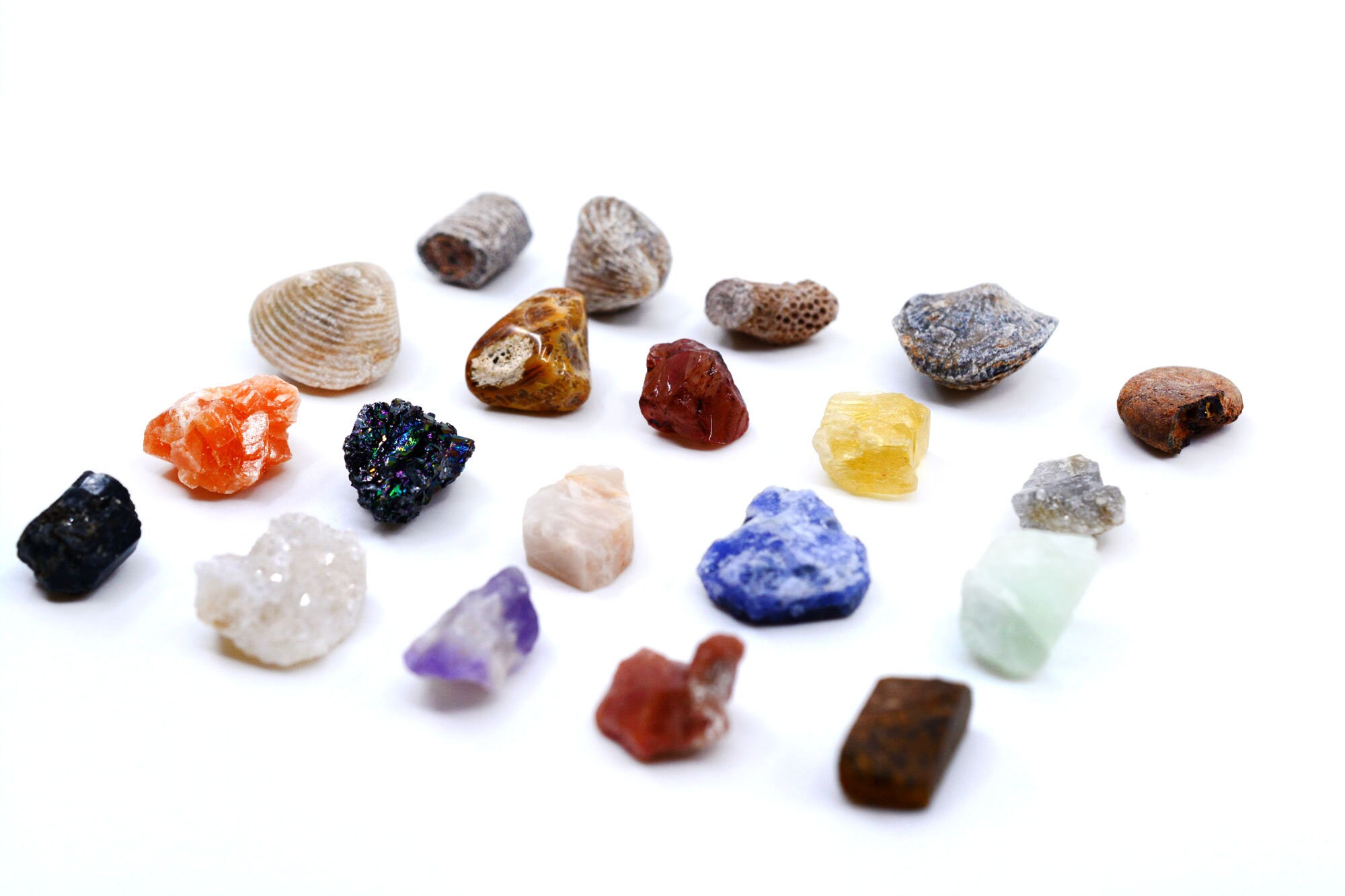 Lot de 20 pierres précieuses naturelles, collection de pierres précieuses  minérales pour enfants, cadeau d'anniversaire, fossiles