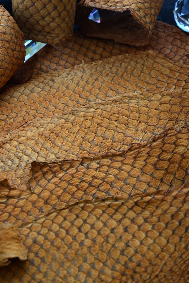 Rust Brown Tilapia Fish Leather Skin Suede Finish 1 Piece / Etsy
