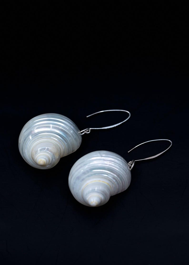 Turbo Shells: High Polished Pearlized Delphinula lacinata Turbo Shells, Drilled or Not, Sold by Each, Shell Necklace, Shell Earrings, Turban