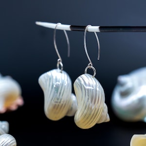 May include: A pair of silver earrings with white seashell pendants. The shells have a pearlescent finish and a spiral pattern.