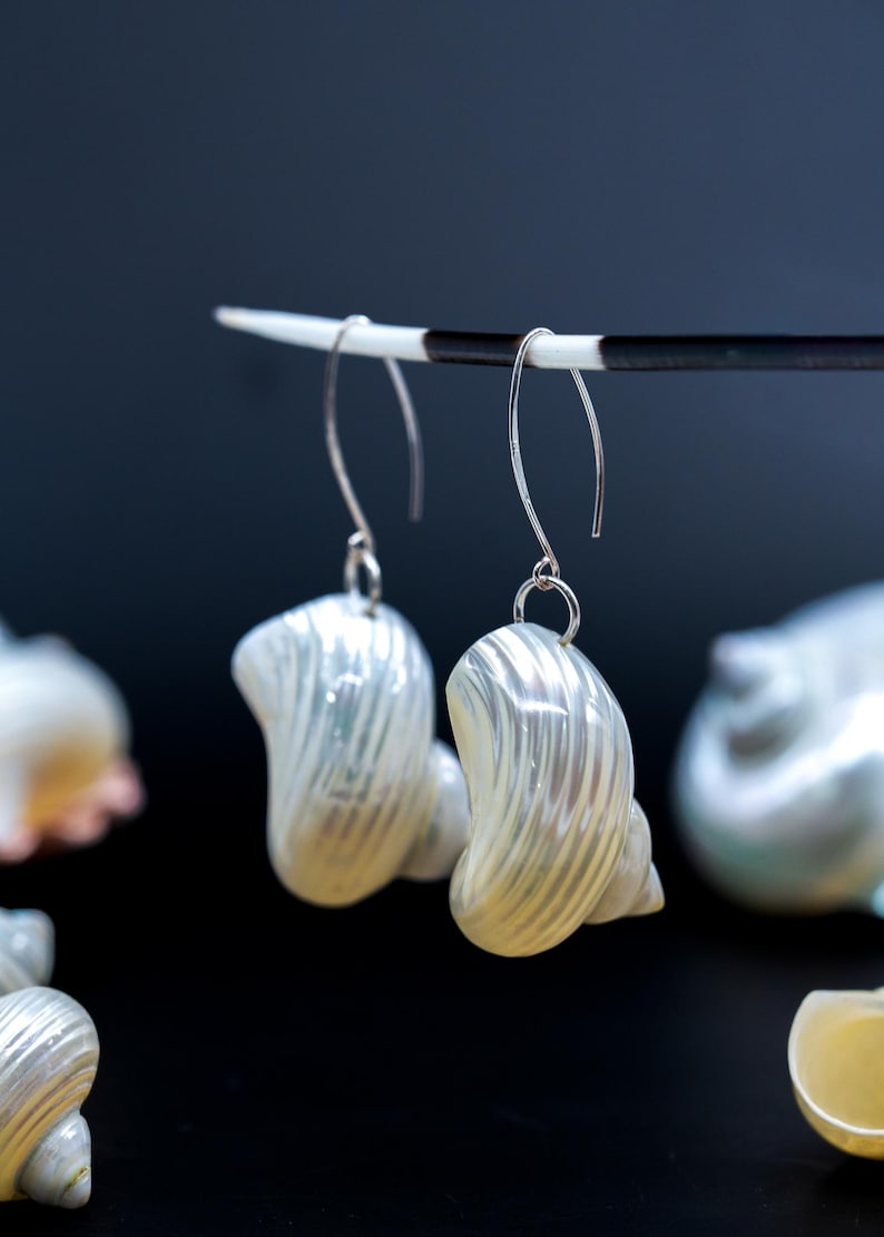 Turbo Shells: High Polished Pearlized Delphinula lacinata Turbo Shells, Drilled or Not, Sold by Each, Shell Necklace, Shell Earrings, Turban