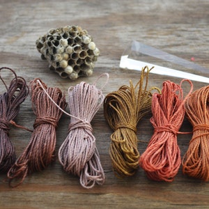 May include: Seven spools of natural fiber cord in various shades of brown, from dark brown to light beige, arranged in a row on a wooden surface.