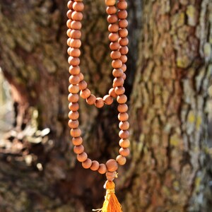 May include: A brown wooden mala bead necklace with a long orange tassel. The necklace is hanging against a tree trunk.