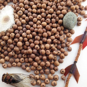 Khaki Brown: Real Acai Beads from South America, 6-10mm | Pick your Quantity | Eco-Friendly Beads, Natural Seeds, DIY Jewelry Supplies