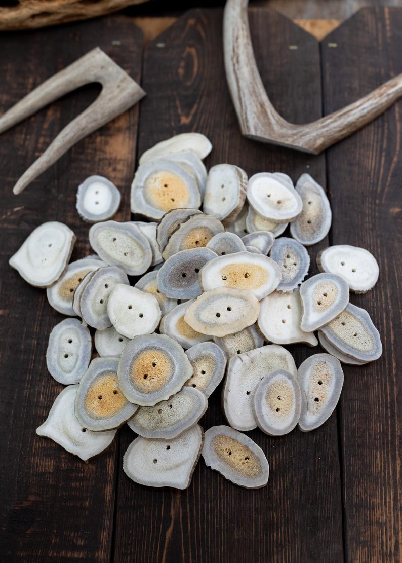 Rustic Natural Deer Antler Button – 1 button, 1-3 plus inches | One-of-a-Kind Antler Button, Naturally Shed Antler Toggle, Natural Buttons for Knitting