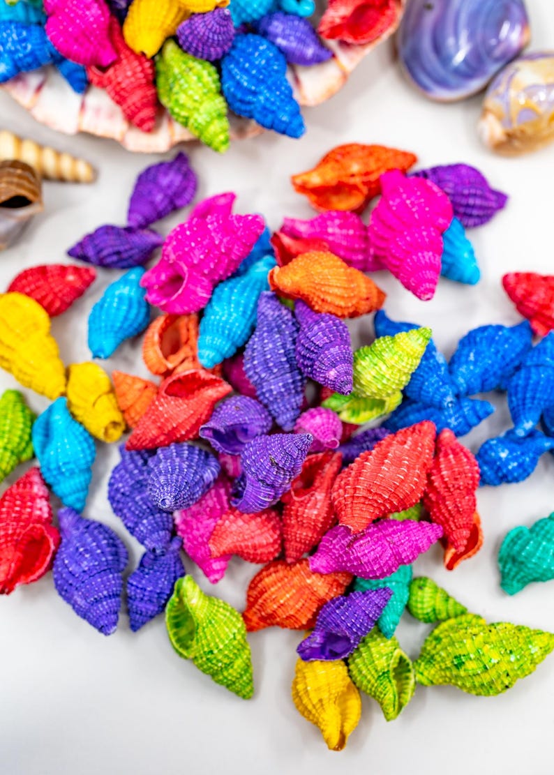 Dyed Shell Mini Dyed Nassarius Reticulata Seashells – Set of 10 Shells | Vibrant ...