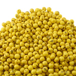 Baby Yellow: Real Acai Beads from South America, 6-10mm | Pick your Quantity | Eco-Friendly Beads, Natural Seeds, DIY Jewelry Making Supply