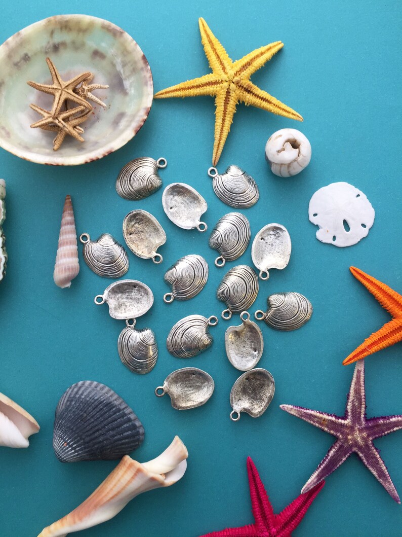 May include: A collection of silver clam shell charms with a loop for attaching to jewelry. The charms are arranged on a turquoise blue background with seashells, starfish, and sand dollars.