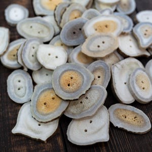 Rustic Natural Deer Antler Button – XL, 1 button, 1-3 plus inches | One-of-a-Kind Antler Button, Naturally Shed Antler Toggle