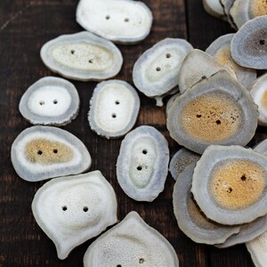 Rustic Natural Deer Antler Button – 1 button, 1-3 plus inches | One-of-a-Kind Antler Button, Naturally Shed Antler Toggle, Natural Buttons for Knitting