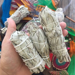 Sage Bundles for Smudging, Meditation, Clearing and Protection Natural White Sage Smudge Sticks, 3 bundles / 1 piece image 3