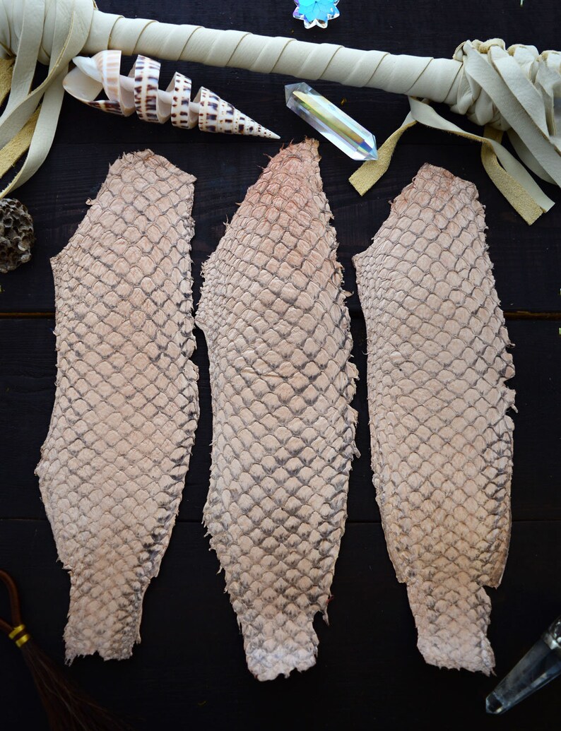 Natural Tan Tilapia Fish Leather Skin Glossy Finish 1 piece Etsy